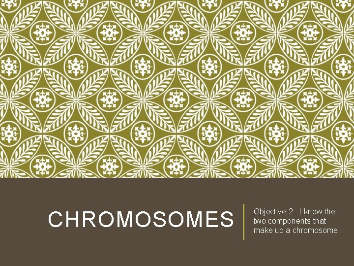 CHROMOSOMES Objective 2: I know the two components that make up a chromosome. CHROMOSOMES Objective 2: I know the two components that make up a chromosome.