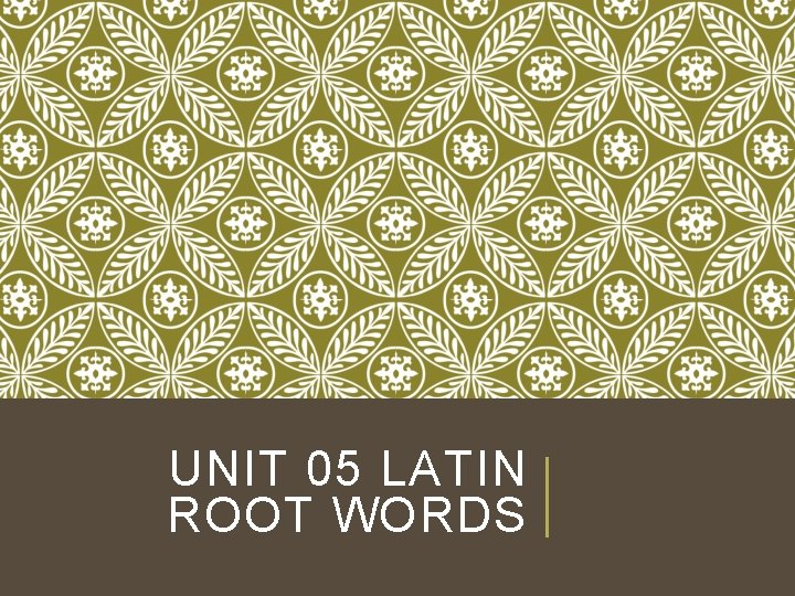 UNIT 05 LATIN ROOT WORDS UNIT 05 LATIN ROOT WORDS