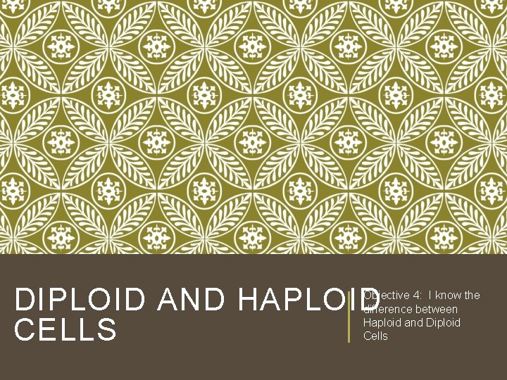 DIPLOID AND HAPLOID CELLS Objective 4: I know the difference between Haploid and Diploid DIPLOID AND HAPLOID CELLS Objective 4: I know the difference between Haploid and Diploid