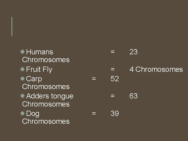 Humans Chromosomes Fruit Fly Carp Chromosomes Adders tongue Chromosomes Dog Chromosomes = = Humans Chromosomes Fruit Fly Carp Chromosomes Adders tongue Chromosomes Dog Chromosomes = =