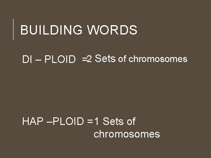 BUILDING WORDS DI – PLOID =2 Sets of chromosomes HAP –PLOID = 1 Sets BUILDING WORDS DI – PLOID =2 Sets of chromosomes HAP –PLOID = 1 Sets