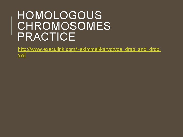 HOMOLOGOUS CHROMOSOMES PRACTICE http: //www. execulink. com/~ekimmel/karyotype_drag_and_drop. swf HOMOLOGOUS CHROMOSOMES PRACTICE http: //www. execulink. com/~ekimmel/karyotype_drag_and_drop. swf