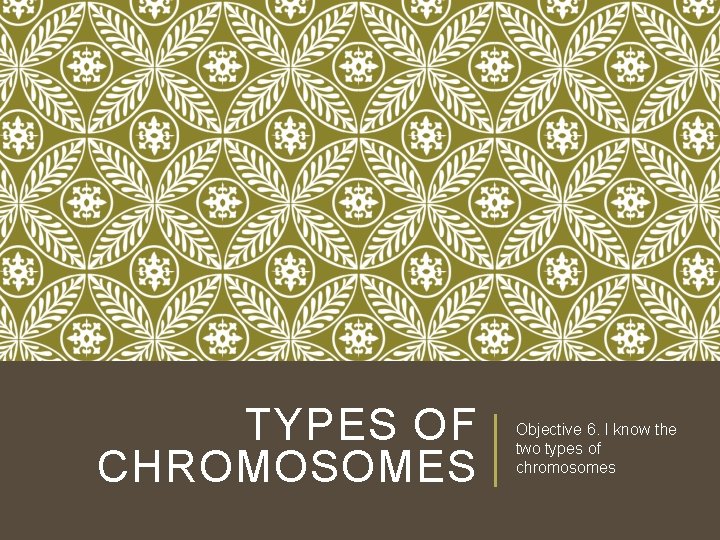 TYPES OF CHROMOSOMES Objective 6. I know the two types of chromosomes TYPES OF CHROMOSOMES Objective 6. I know the two types of chromosomes