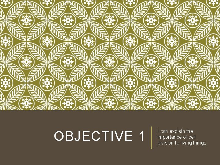 OBJECTIVE 1 I can explain the importance of cell division to living things OBJECTIVE 1 I can explain the importance of cell division to living things