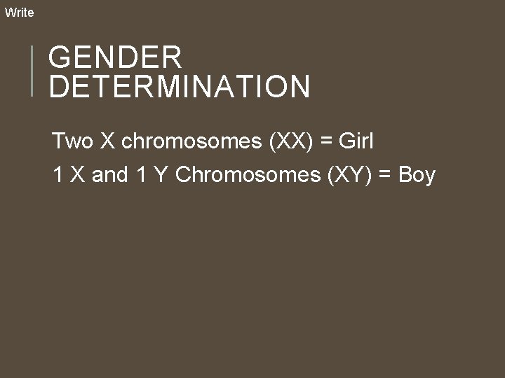 Write GENDER DETERMINATION Two X chromosomes (XX) = Girl 1 X and 1 Y Write GENDER DETERMINATION Two X chromosomes (XX) = Girl 1 X and 1 Y