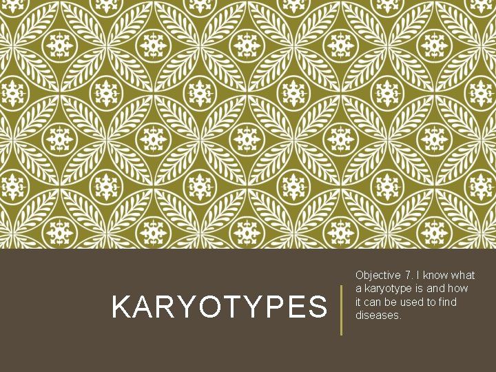 KARYOTYPES Objective 7. I know what a karyotype is and how it can be KARYOTYPES Objective 7. I know what a karyotype is and how it can be