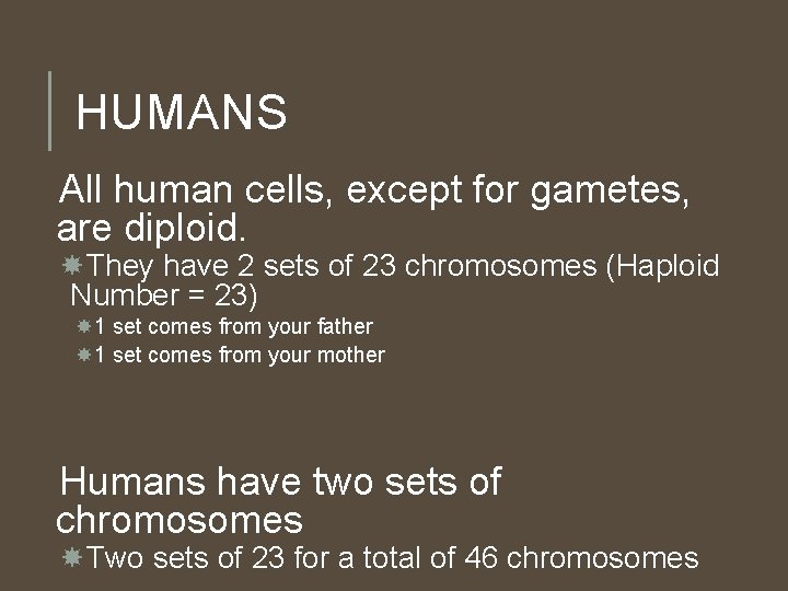 HUMANS All human cells, except for gametes, are diploid. They have 2 sets of HUMANS All human cells, except for gametes, are diploid. They have 2 sets of