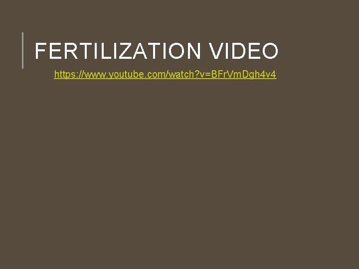 FERTILIZATION VIDEO https: //www. youtube. com/watch? v=BFr. Vm. Dgh 4 v 4 FERTILIZATION VIDEO https: //www. youtube. com/watch? v=BFr. Vm. Dgh 4 v 4