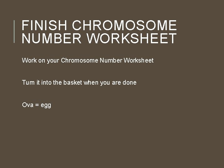 FINISH CHROMOSOME NUMBER WORKSHEET Work on your Chromosome Number Worksheet Turn it into the FINISH CHROMOSOME NUMBER WORKSHEET Work on your Chromosome Number Worksheet Turn it into the
