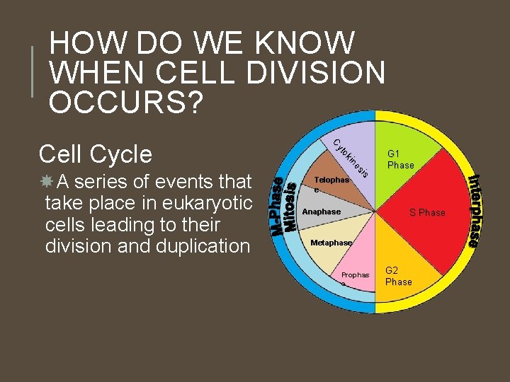HOW DO WE KNOW WHEN CELL DIVISION OCCURS? A series of events that take HOW DO WE KNOW WHEN CELL DIVISION OCCURS? A series of events that take