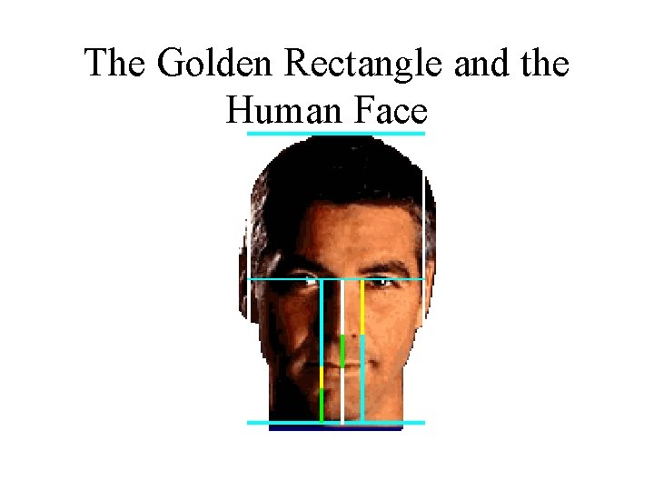 The Golden Rectangle and the Human Face 