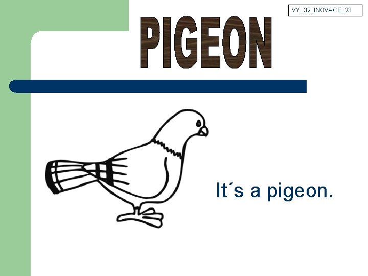 VY_32_INOVACE_23 It´s a pigeon. 