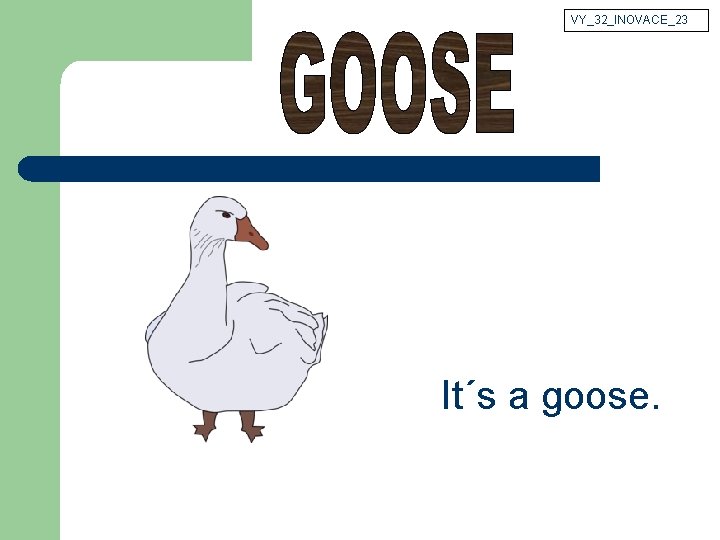 VY_32_INOVACE_23 It´s a goose. 
