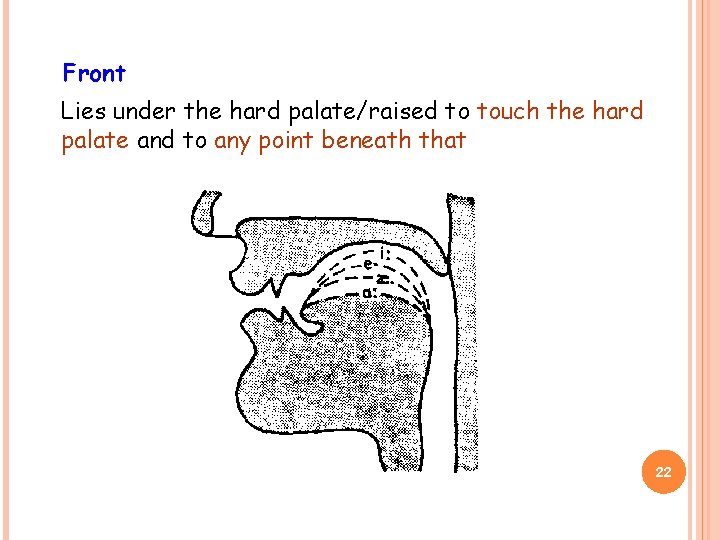 Front Lies under the hard palate/raised to touch the hard palate and to any