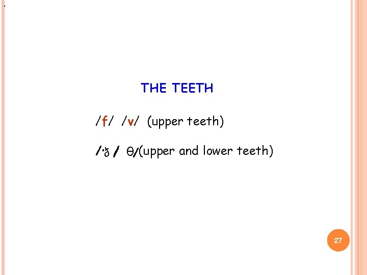 THE TEETH /f/ /v/ (upper teeth) / ð / θ/(upper and lower teeth) 27