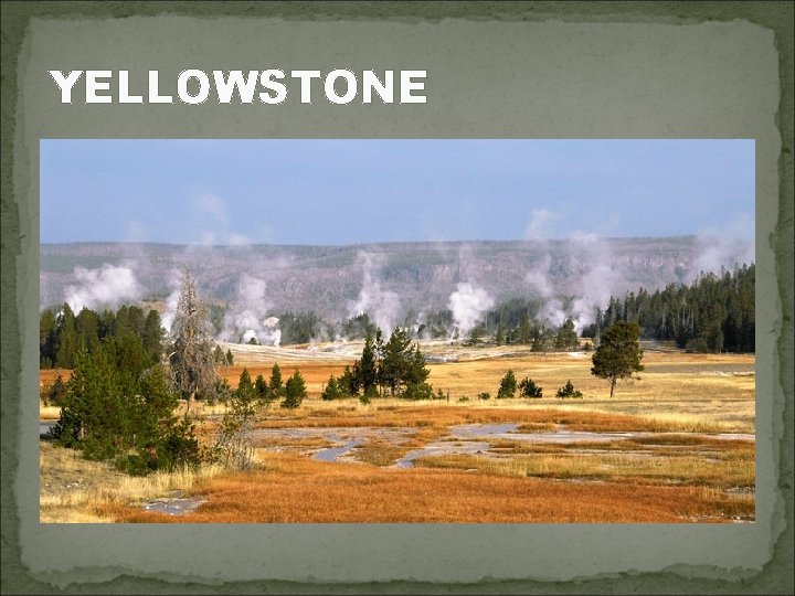 YELLOWSTONE 