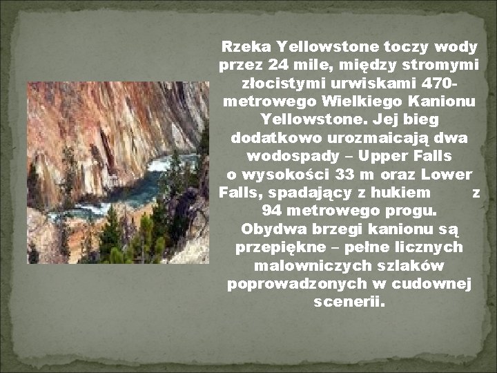 Rzeka Yellowstone toczy wody przez 24 mile, między stromymi złocistymi urwiskami 470 metrowego Wielkiego