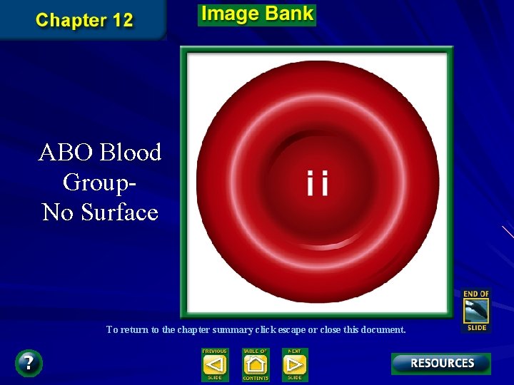 ABO Blood Group. No Surface To return to the chapter summary click escape or ABO Blood Group. No Surface To return to the chapter summary click escape or