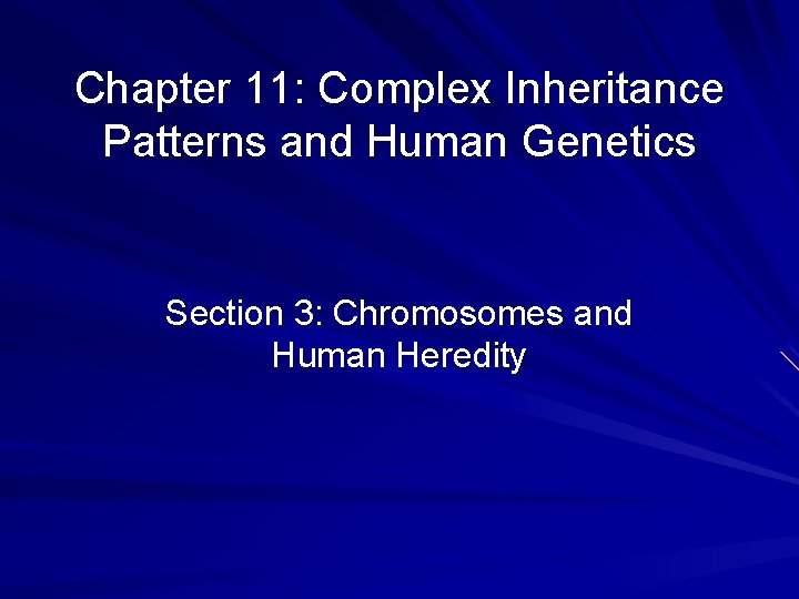 Chapter 11: Complex Inheritance Patterns and Human Genetics Section 3: Chromosomes and Human Heredity Chapter 11: Complex Inheritance Patterns and Human Genetics Section 3: Chromosomes and Human Heredity