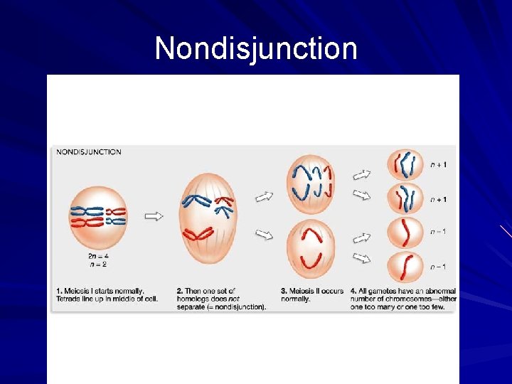 Nondisjunction Nondisjunction