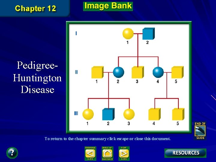 Pedigree. Huntington Disease To return to the chapter summary click escape or close this Pedigree. Huntington Disease To return to the chapter summary click escape or close this