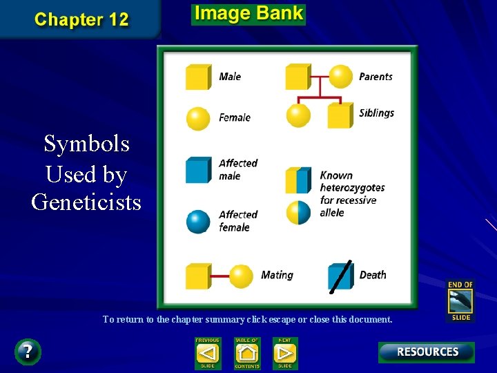 Symbols Used by Geneticists To return to the chapter summary click escape or close Symbols Used by Geneticists To return to the chapter summary click escape or close