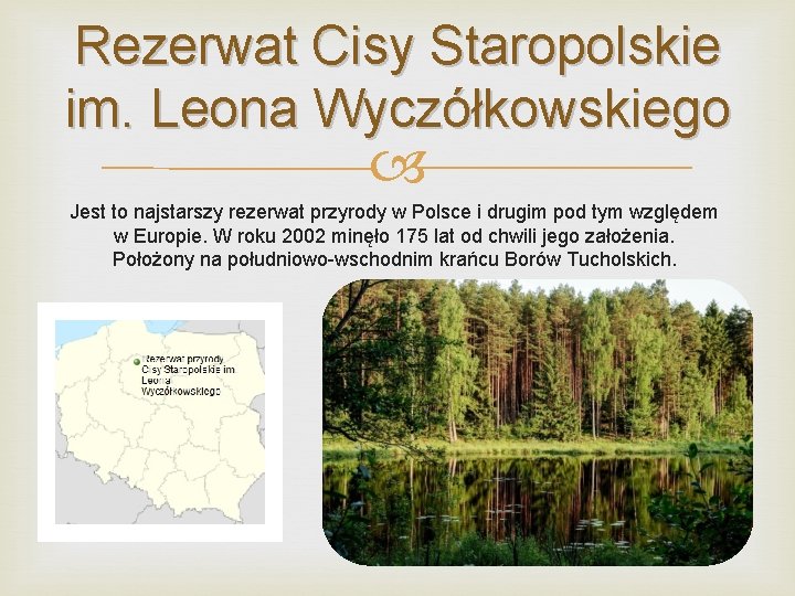 Rezerwat Cisy Staropolskie im. Leona Wyczółkowskiego Jest to najstarszy rezerwat przyrody w Polsce i