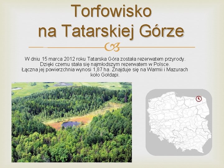 Torfowisko na Tatarskiej Górze W dniu 15 marca 2012 roku Tatarska Góra została rezerwatem