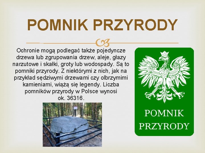 POMNIK PRZYRODY Ochronie mogą podlegać także pojedyncze drzewa lub zgrupowania drzew, aleje, głazy narzutowe