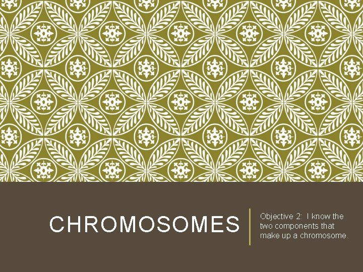 CHROMOSOMES Objective 2: I know the two components that make up a chromosome. 