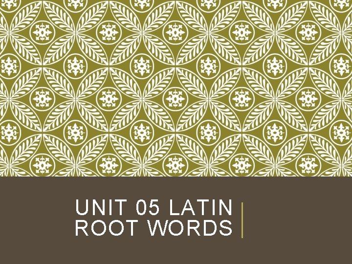 UNIT 05 LATIN ROOT WORDS 