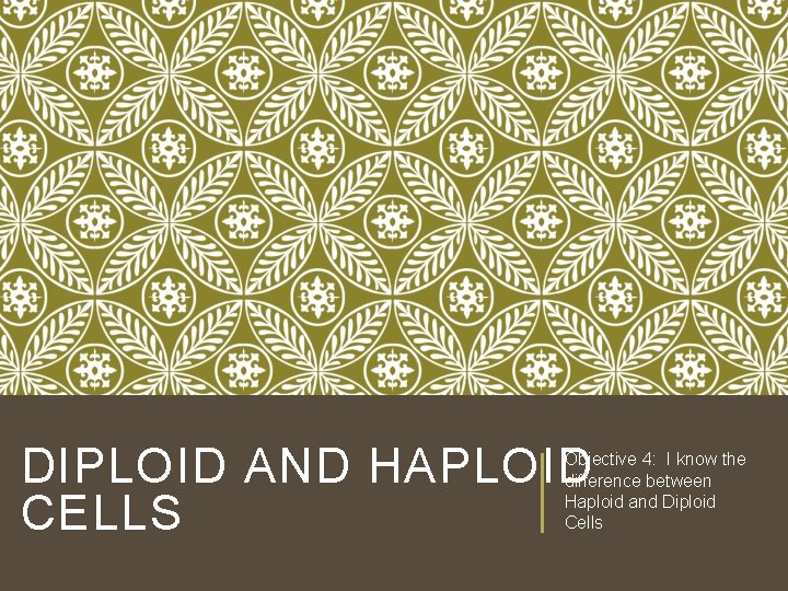 DIPLOID AND HAPLOID CELLS Objective 4: I know the difference between Haploid and Diploid