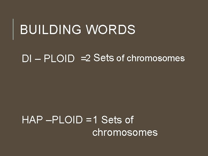BUILDING WORDS DI – PLOID =2 Sets of chromosomes HAP –PLOID = 1 Sets