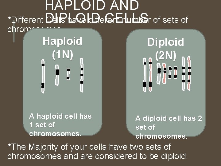 HAPLOID AND CELLS *Different DIPLOID Cells have different number of sets of chromosomes. Haploid