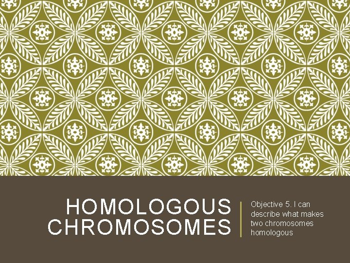 HOMOLOGOUS CHROMOSOMES Objective 5. I can describe what makes two chromosomes homologous 