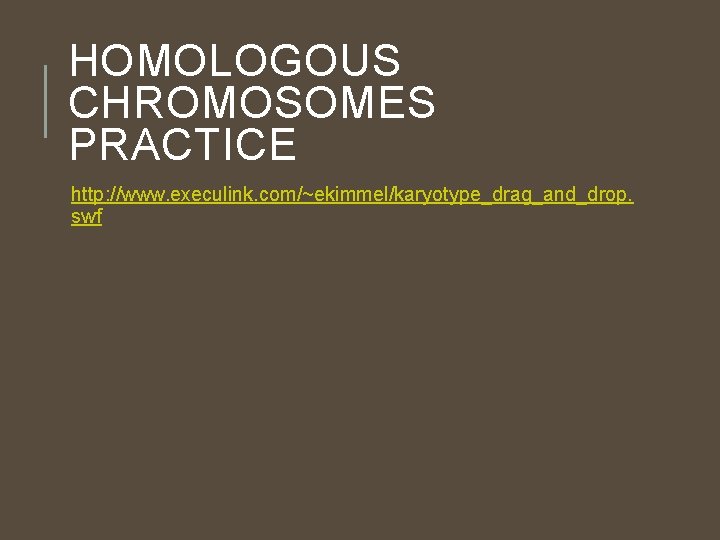 HOMOLOGOUS CHROMOSOMES PRACTICE http: //www. execulink. com/~ekimmel/karyotype_drag_and_drop. swf 