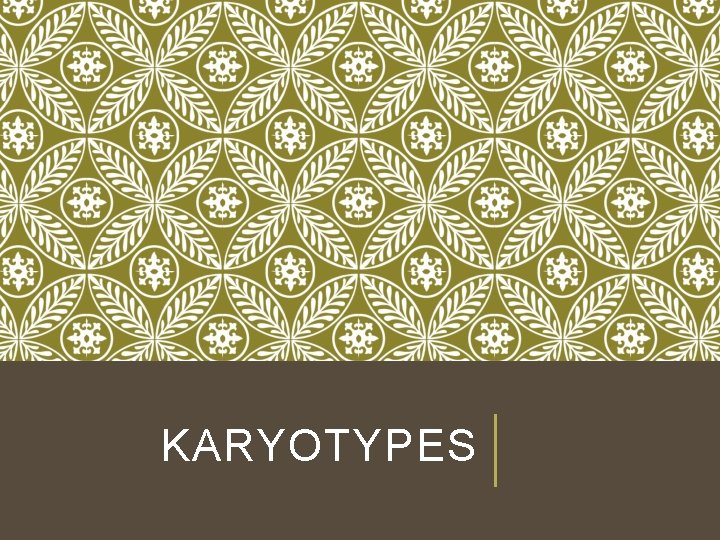 KARYOTYPES 