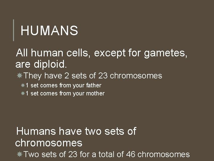 HUMANS All human cells, except for gametes, are diploid. They have 2 sets of