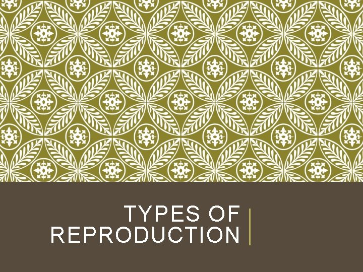 TYPES OF REPRODUCTION 