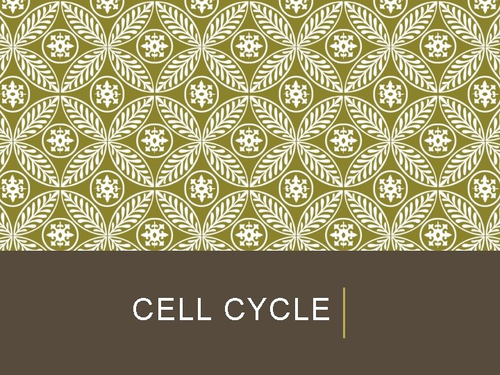 CELL CYCLE 