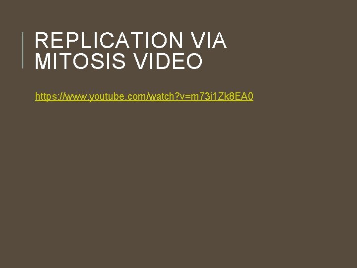 REPLICATION VIA MITOSIS VIDEO https: //www. youtube. com/watch? v=m 73 i 1 Zk 8