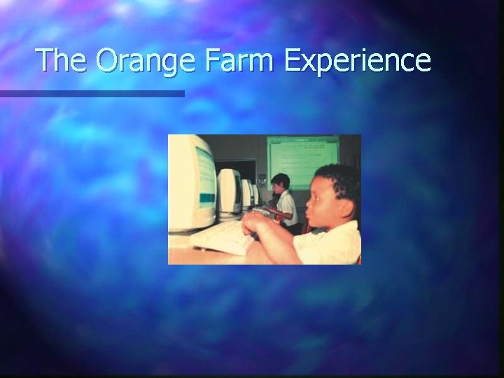 The Orange Farm Experience 