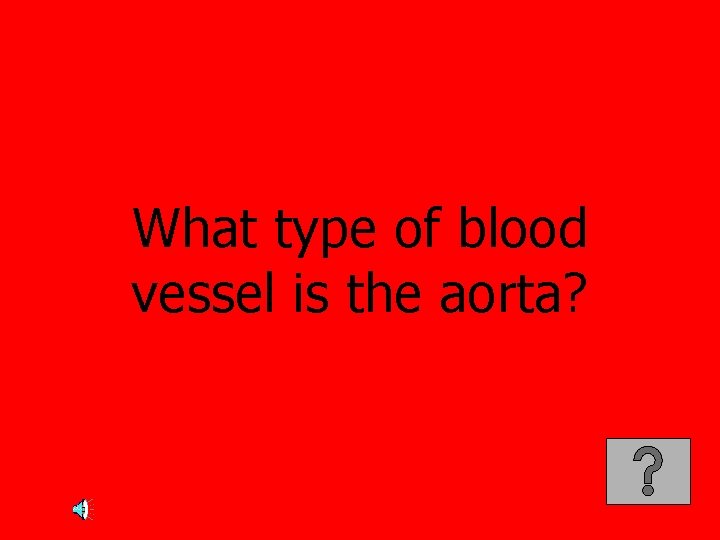 What type of blood vessel is the aorta? 