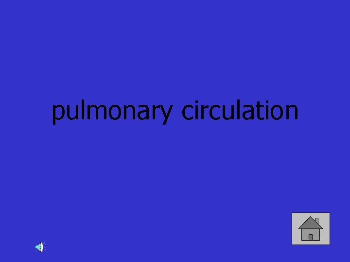 pulmonary circulation 