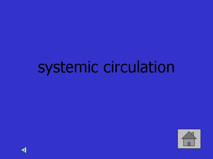 systemic circulation 