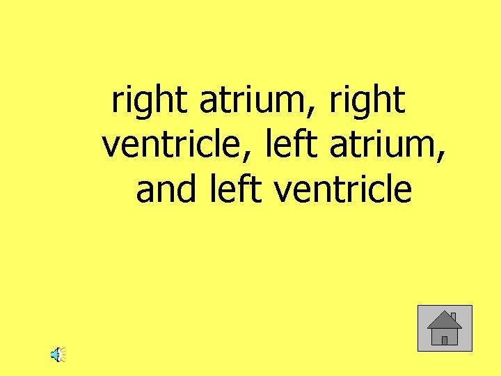 right atrium, right ventricle, left atrium, and left ventricle 