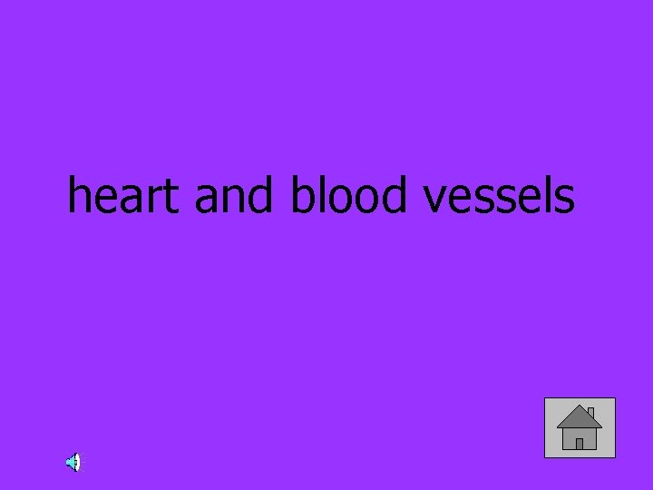 heart and blood vessels 