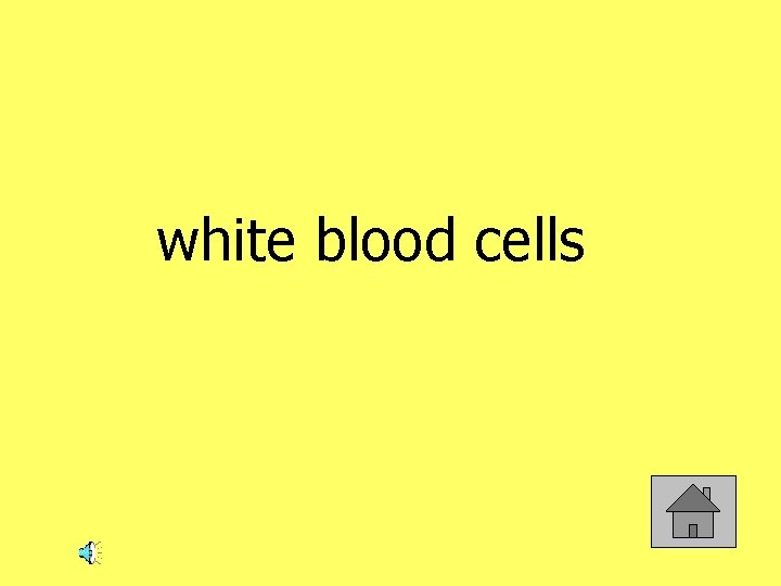 white blood cells 