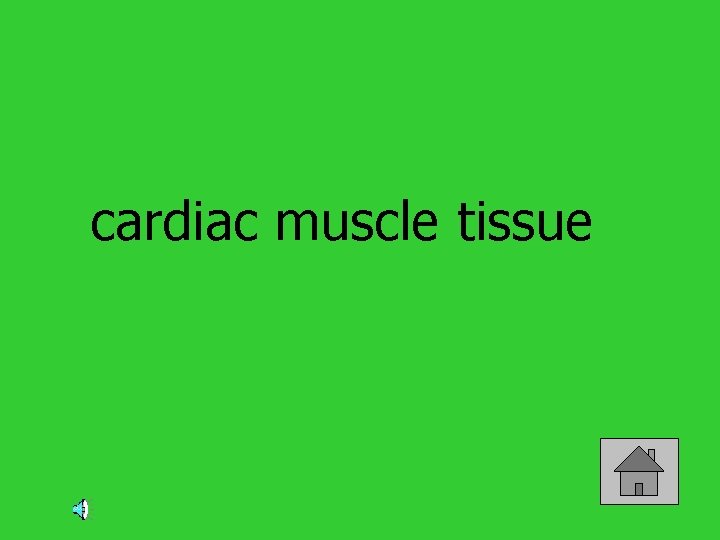 cardiac muscle tissue 