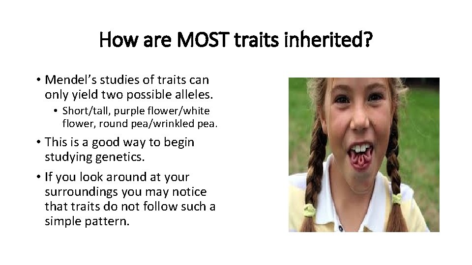 How are MOST traits inherited? • Mendel’s studies of traits can only yield two